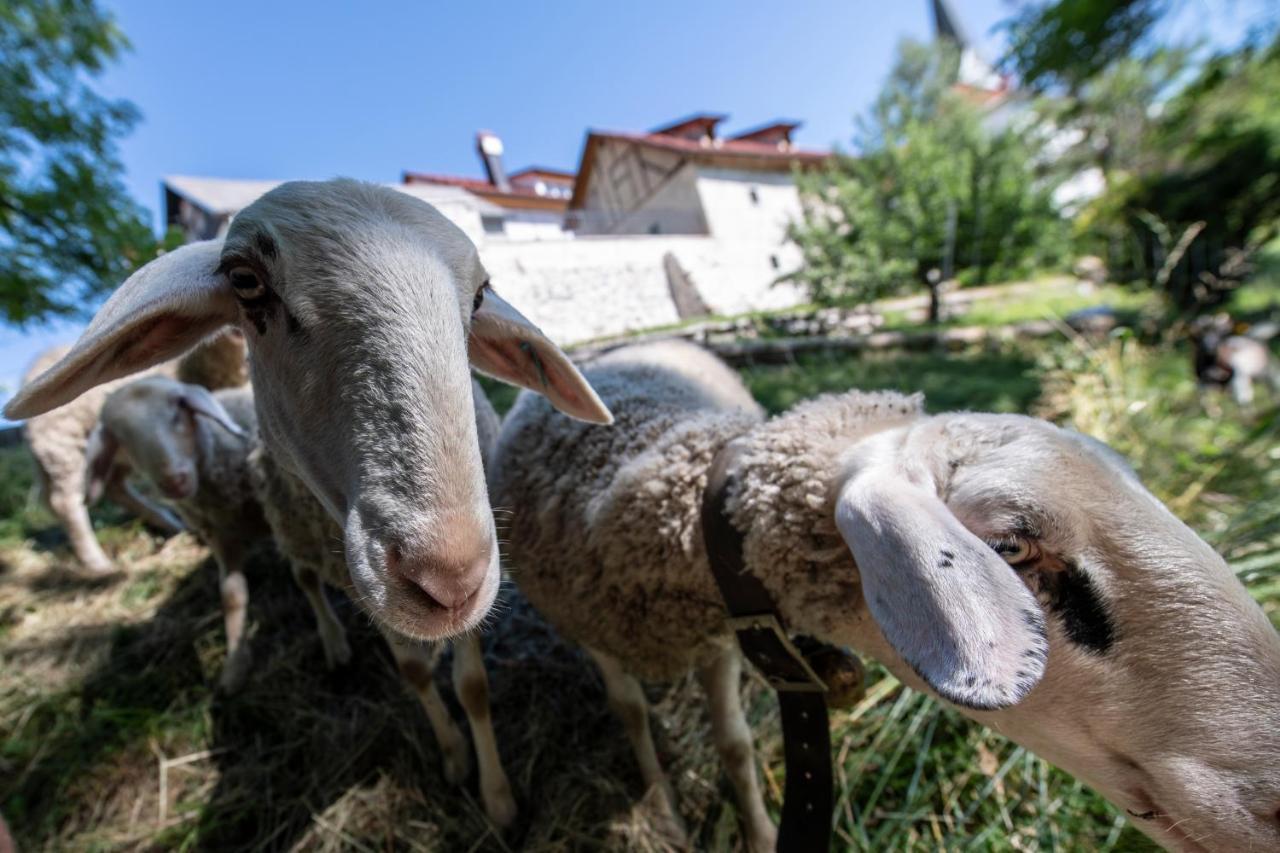 Meznarija Radovljica Lägenhet Exteriör bild